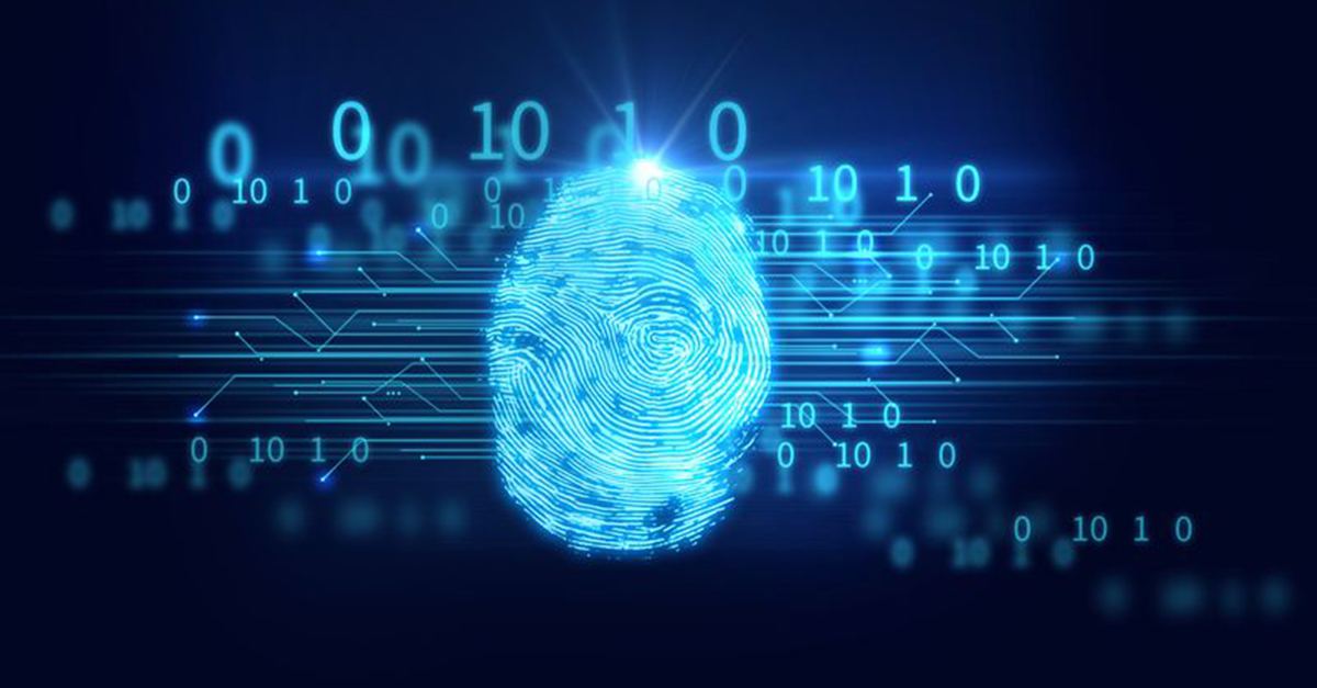 پروتکل امنیتی توکن استاتوس شامل چه مواردی است؟