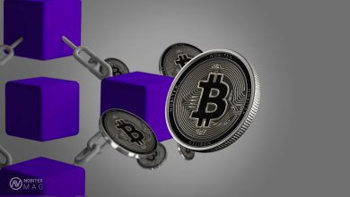 تفاوت بلاکچین با بیت کوین و ارز دیجیتال؛ چگونه بلاکچین را با بیت کوین و ارز دیجیتال اشتباه نگیریم؟