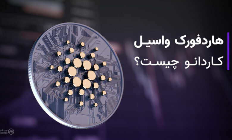 هاردفورک واسیل چیست؟ کاردانو در آستانه بهروزرسانی مهم واسیل