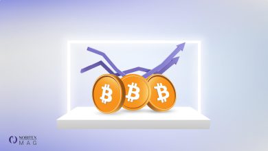 بررسی عوامل تأثیرگذار بر قیمت بیت کوین و سایر رمزارزها
