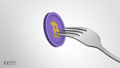 سافت فورک چیست و چه تفاوتی با هارد فورک دارد؟