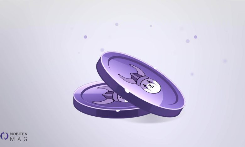 ارز فلوکی floki چیست؟