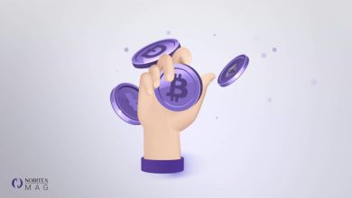 Hold یا هولد کردن چیست؟ همه چیز در مورد استراتژی سرمایه‌گذاری هودل (HODL)
