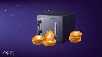 ذخیره ارزش چیست؟ بهترین ذخیره ارزش (Store Of Value) برای نگهداری