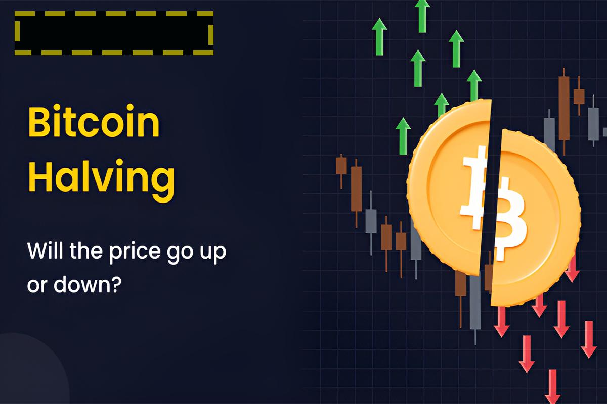 قیمت BTC پس از هاوینگ