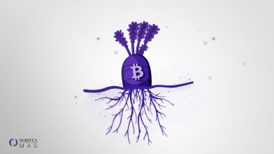 پوست‌ اندازی بیت‌ کوین با تپ‌ روت؛ Taproot چیست؟