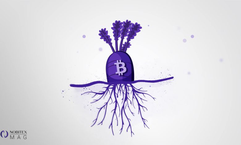 پوست اندازی بیت کوین با تپ روت؛ Taproot چیست؟