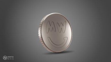 پروتکل MimbleWimble چیست؟ از هری پاتر تا دنیای رمزارزها